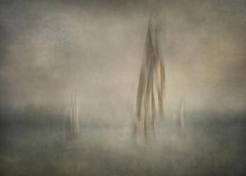 “Trio,” a digital photograph by Olga Merrill. Courtesy of the venue Olga Merrill
