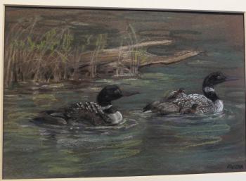 “Loons Among the Reeds” - chalk pastel - Karen “Kallena” Chutsky Karen “Kallena” Chutsky