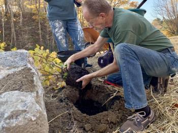 Alna’s Chris Cooper plants a shrub at Head Tide Dam. SUSAN JOHNS/Wiscasset Newspaper