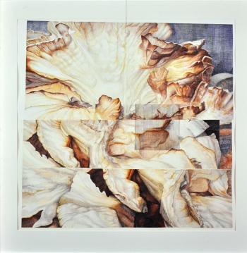 “Transmogrification of the Square” - (2002) - pencil & colored pencil - 31” x 31" - Brenda Bettinson. Courtesy of Mathias Fine Art Brenda Bettinson