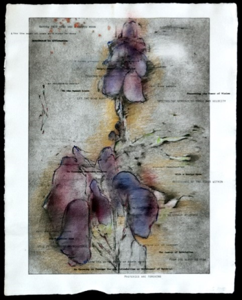 “The Pacifist, An Introduction,” drawing, 14” X 17”, Greg Shattenberg Greg Shattenberg