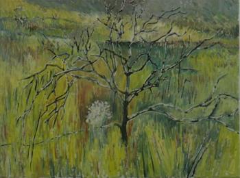“Tree With Black Limbs,” a John M. T. Seitzer illustration for “come walk in the Fynbos with me,” written by Susan Schadler. Courtesy of Lynne Seitzer John M.T. Seitzer