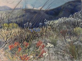 “Mixed Landscape” by John M. T. Seitzer. The illustration is in “come walk in the Fynbos with me,” written by Susan Schadler. Courtesy of Lynne Seitzer John M.T. Seitzer