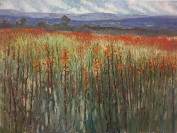 “Orange Watsonia” ” by John M. T. Seitzer. The illustration is in “come walk in the Fynbos with me,” written by Susan Schadler. Courtesy of Lynne Seitzer John M. T. Seitzer