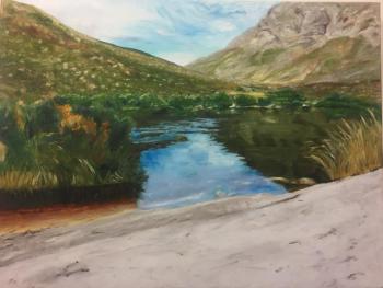 “Palmiet River Swimming Hole” by Lynne Seitzer. The illustration is in “come walk in the Fynbos with me,” written by Susan Schadler. Courtesy of Lynne Seitzer Lynne Seitzer