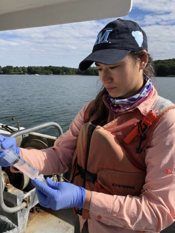 University of Maine graduate student Rachel Presley observes samples for Maine eDNA. Photo courtesy of Jeremy Rich.