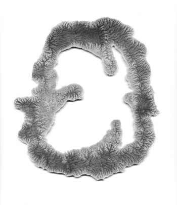 Carter Shappy’s “Dec. 6, 2019, #1,” a viscosity monotype approx. 6” x 7.5” is among the work in the gallery’s first show of 2020. Courtesy of the venue Carter Shappy’