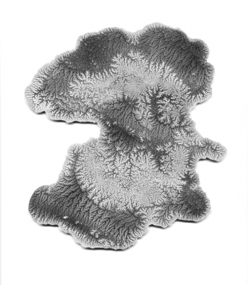 Carter Shappy - Ttile: Dec. 8, 2019 #1 - approx. 7.5” x 7.5” -
viscosity monotype. Courtesy of the venue
Carter Shappy