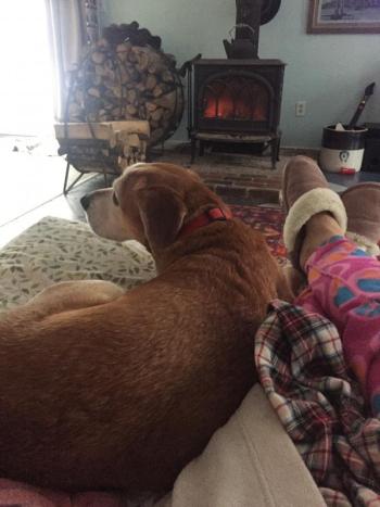 Kim Andersson spends quality time Friday morning with yellow hound dog mix Tigger. Courtesy of Kim Andersson
