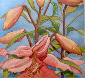 Suzi Thayer