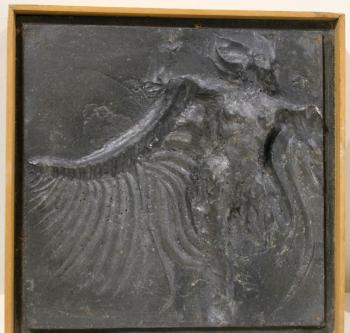 “Fallen Angel” by Don Meserve. Don Meserve