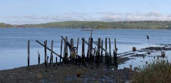 Wiscasset harbor Sept. 26. SUSAN JOHNS/Wiscasset Newspaper