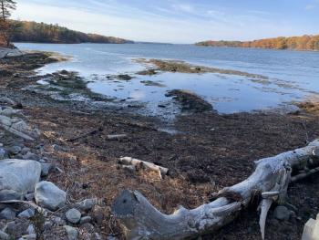 The center sits near the Back River shore. SUSAN JOHNS/Wiscasset Newspaper