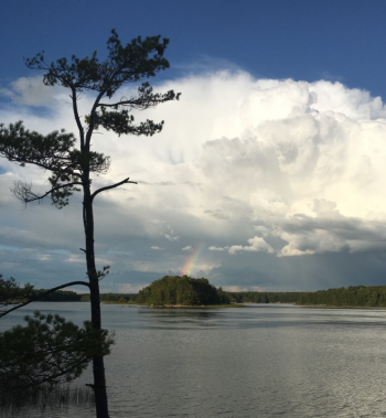 Rainbow peering through the clouds from the Whiskeag Creek Wetland property shoreline. Sam Lambert photo