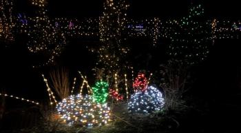 Holiday lit foliage and forest. STEVE EDWARDS/Boothbay Register