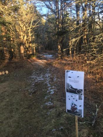 Love this page along the way ... and there’s the little bridge up ahead – on the trail, not the book. LISA KRISTOFF/Boothbay Register
