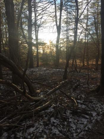 A view between pages ... LISA KRISTOFF/Boothbay Register