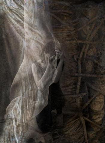 Color entry: “Embedded” – Karen Olson photographer