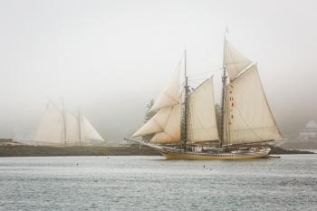 Even on a foggy day, photography can record some memorable moments. Mike Leonard photo