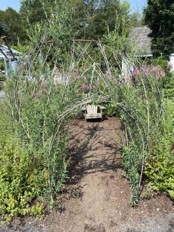 Willow Gazebo: From the book, "The Gazebo" by Ethel Pochoki. Courtesy of Coastal Maine Botanical Gardens