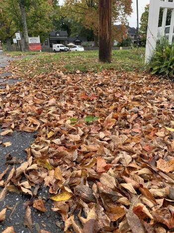 SUSAN JOHNS/Wiscasset Newspaper
