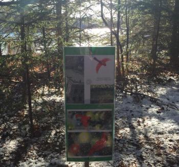 Page 8 along Townsend Gut. LISA KRISTOFF/Boothbay Register