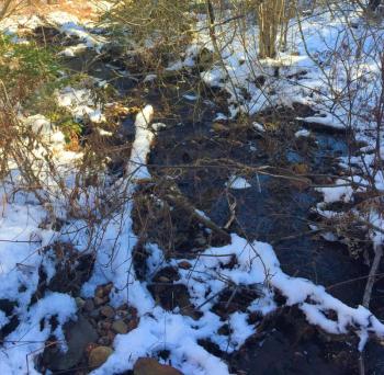 The stream. LISA KRISTOFF/Boothbay Register