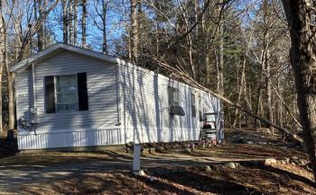 Tree on a home on Bradford Road, Wiscasset. EDNA MILLER/Wiscasset Newspaper