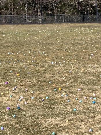 6,000 Easter eggs in the field inside the track. EDNA MILLER/Wiscasset Newspaper