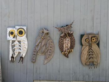 “Owls.”