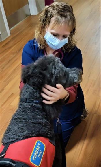 A LincolnHealth team member takes a moment to say hello to Simon during his most recent therapy visit. Sandy Flint, Simon’s owner, said it is as important to visit with the staff as it is the patients. Courtesy of LincolnHealth
