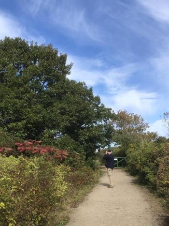 Jeff Wells birding along Timber Point Trail, Rachel Carson Wildlife Refuge, where the birding was superb. Photo courtesy of Allison Childs Wells #bird-column, #boothbay register, #jeff and allison wells, #maine, #birds, #timber point