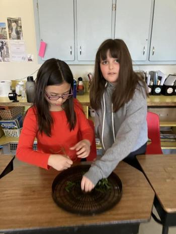 Wren Fairfield, left, and Abby Pulk set mountain mint on the dehydrating tray. Becky Hallowell photo