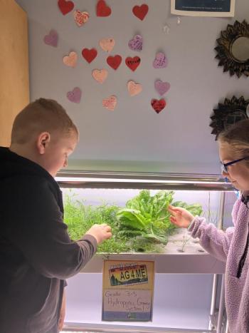 Hunnter Bailey, left, and Trinity Nelson check out the mountain mint, romaine lettuce and chives. Becky Hallowell photo