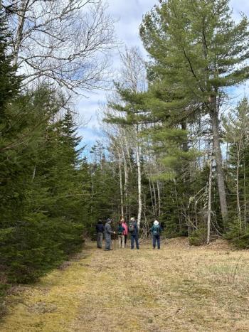 Birding along one of the paths at the Perham Stream Birding Trail in Madrid, Maine. Courtesy of A.Wells/NRCM #bird-column, #boothbay register, #perham stream birding trail, #natural resources council of maine, #jeff and allison wells, #birds, #maine, #high peaks alliance