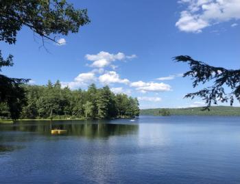 Cool bird songs on a hot summer day - two things the authors enjoyed during a recent visit to a family camp. Courtesy of Jeff Wells #bird-column, #birds, #boothbay register, #Jeff and Allison Wells, #maine, #winter wren