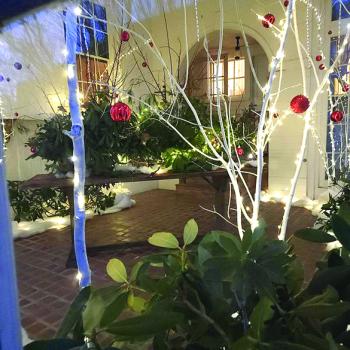 Nickels-Sortwell House Christmas solarium. Courtesy of Historic New England
