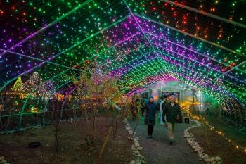 Gardens Aglow. Mike Leonard photo