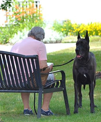 A reader has protection on the Boothbay Harbor Memorial Library lawn. KEVIN BURNHAM/Boothbay Register