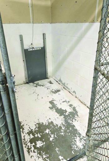 An interior kennel. Midcoast Humane photo An interior kennel. Midcoast Humane photo