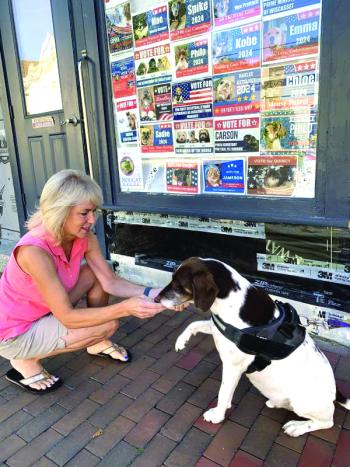 Philo, candidate for king of Wiscasset, offers a paw Aug. 30 to Laurie Winslow, a friend of his owner Cynthia Pappas. Signs in town declared local pets’ candidacies for offices real and not real. SUSAN JOHNS/Wiscasset Newspaper  
