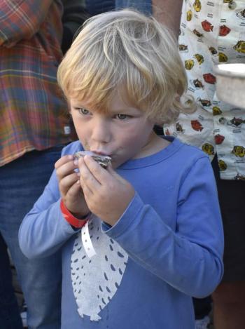 Ronan Sleith, 4, tries an oyster at the Pemaquid Oyster Festival. Soon after he gave it to his mother. FRITZ FREUDENBERGER/Boothbay Register