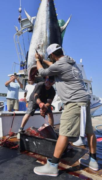 Cleaning up a fish for sale at the Boothbay Harbor Tuna Challenge. FRITZ FREUDENBERGER/Boothbay Register