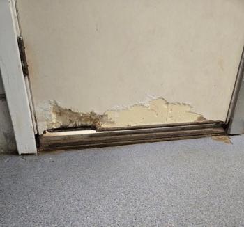Door chewed by marsh rats. Midcoast Humane photo Door chewed by marsh rats. Midcoast Humane photo