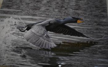 "Cleared For Landing" - Michael Giglia Photography