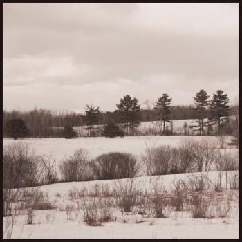 Goranson farm. Courtesy of Emily Whiting