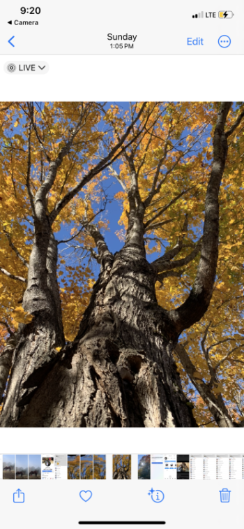 Woolwich, Oct. 20. SUSAN JOHNS/Wiscasset Newspaper 