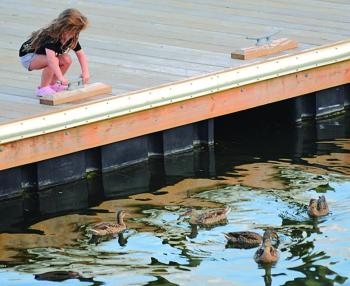 A young girl feeds some ducks from a footbridge float. KEVIN BURNHAM/Boothbay Register