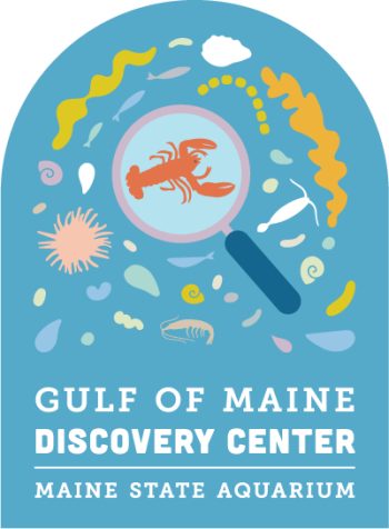 194 McKown Point Road, W. Boothbay Harbor.