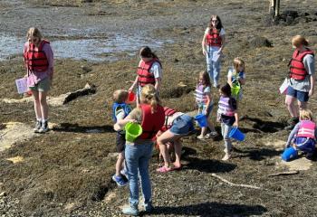 Exploring the shoreline at Boothbay Region Sea and Science Center in East Boothbay. Courtesy photo